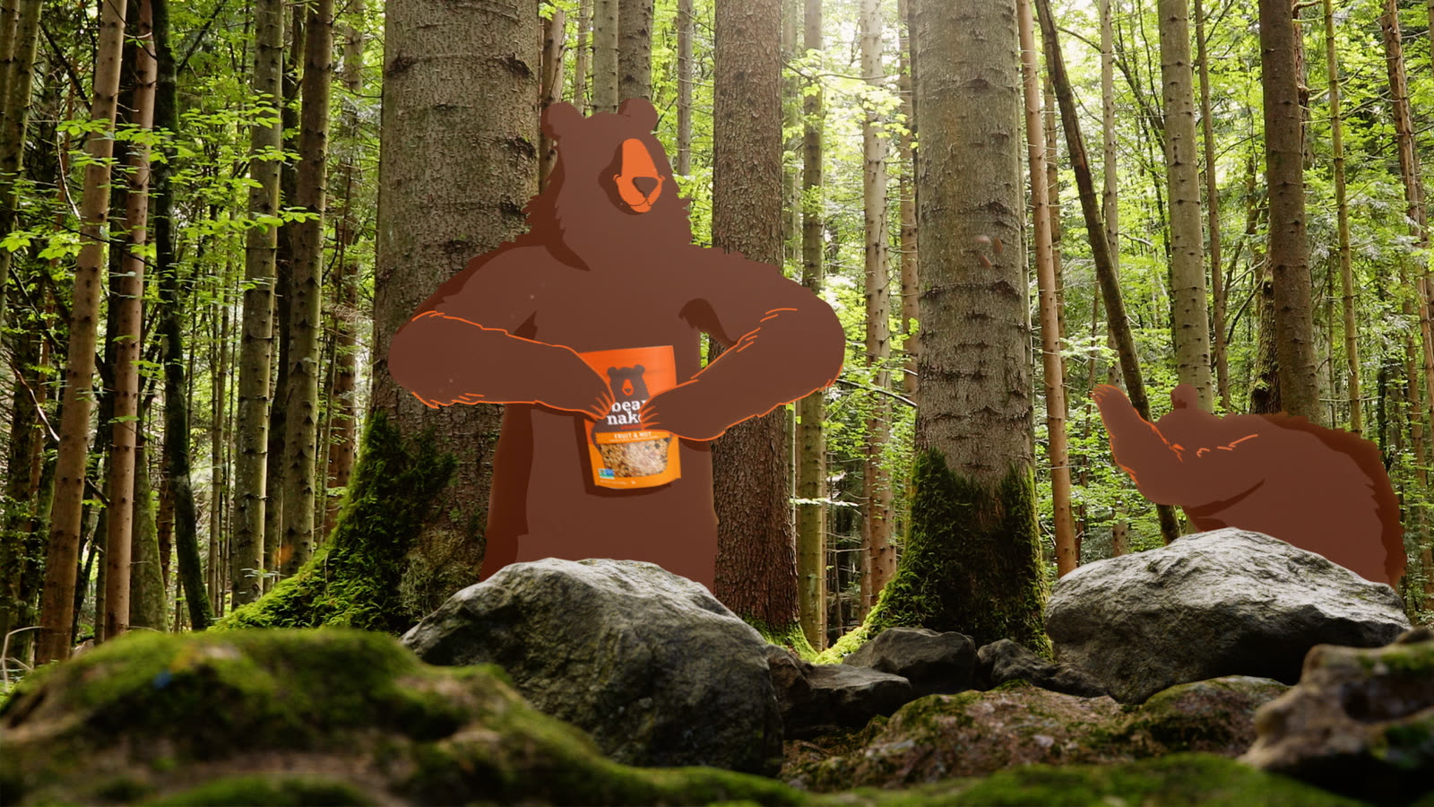 An illustrated bear foraging in a storybook forest