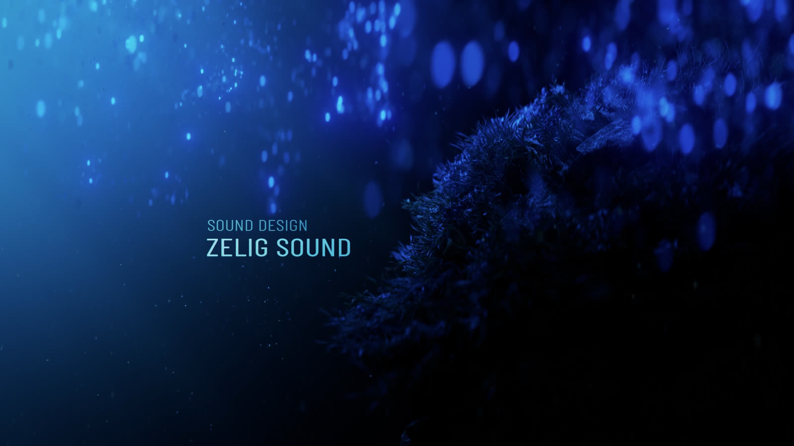 Oceani — still 2